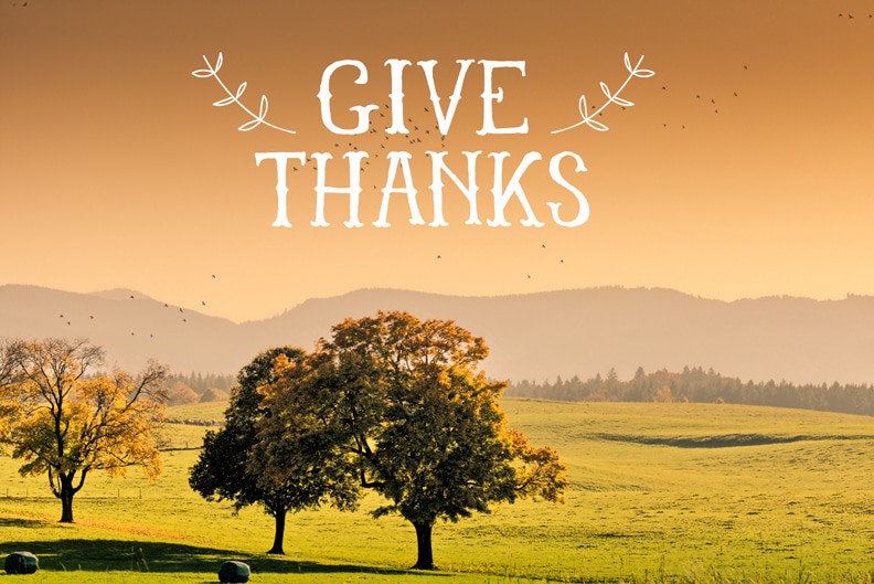 Giving Thanks